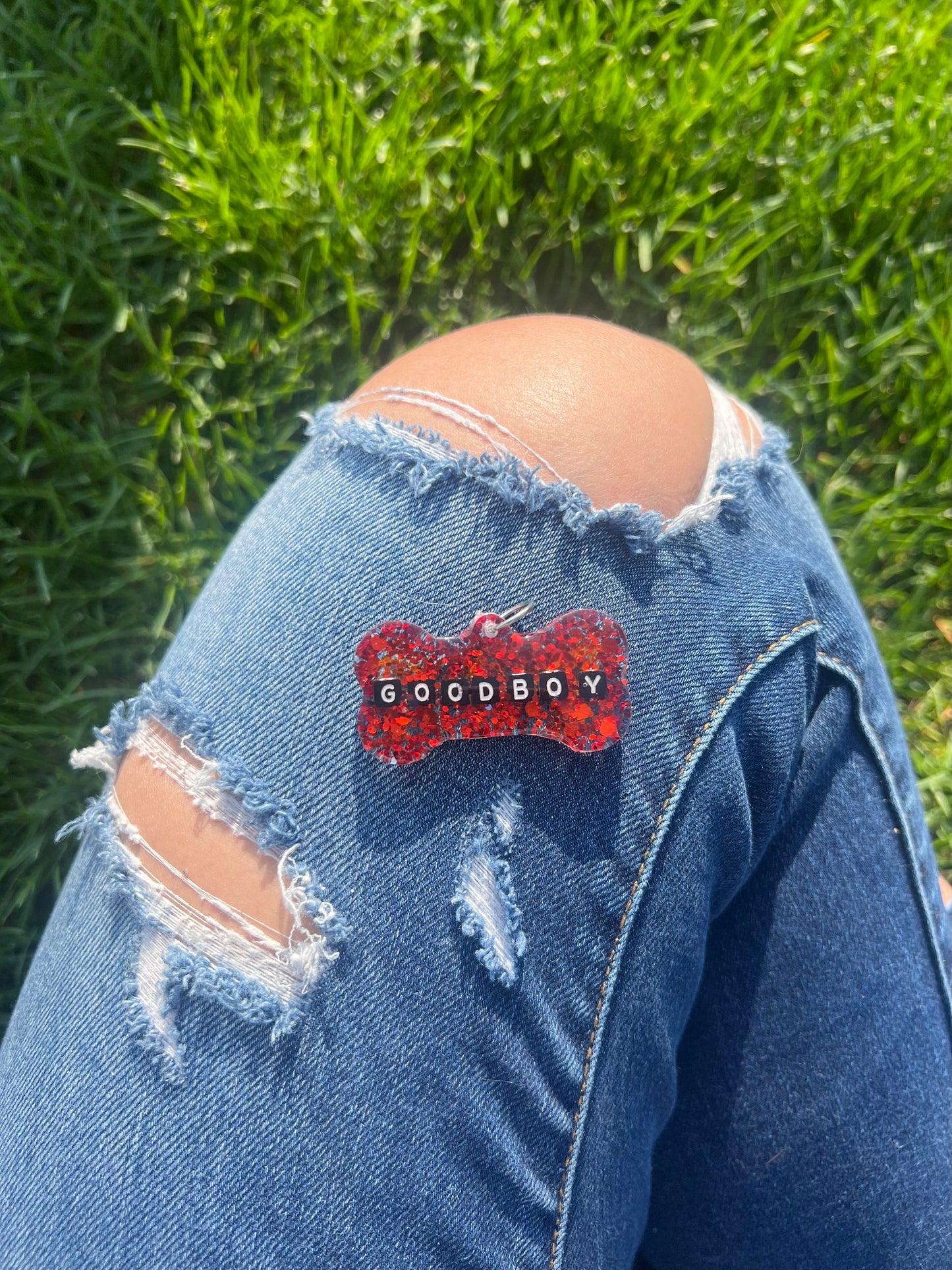 Rave Pets: Red GoodBoy Tag