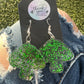 Dark Green Mushroom Earrings