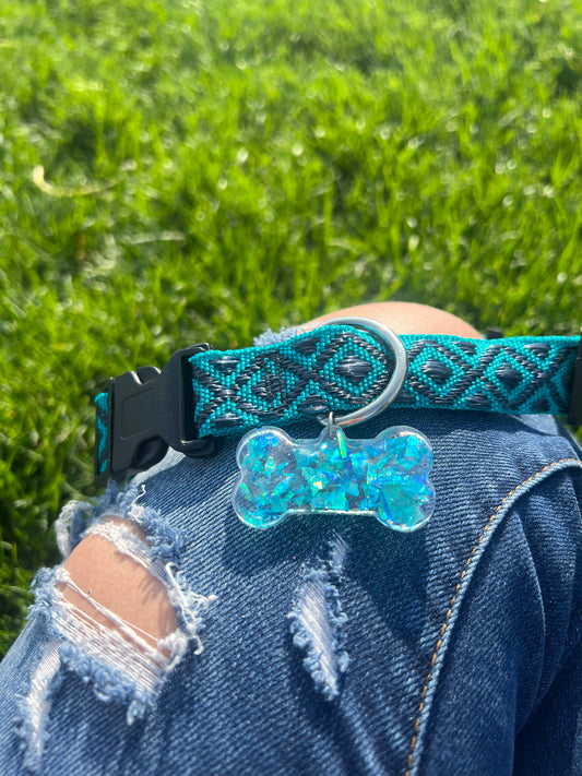 Rave Pets: Dog Collar + Tag