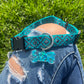 Rave Pets: Dog Collar + Tag