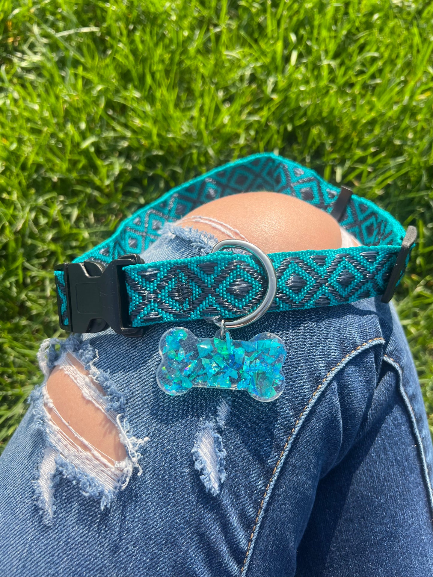 Rave Pets: Dog Collar + Tag