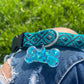 Rave Pets: Dog Collar + Tag
