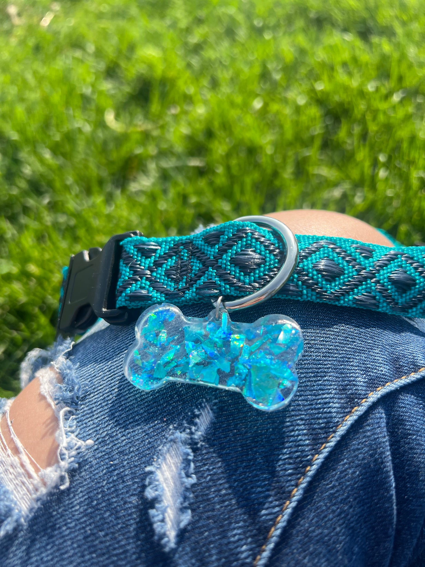 Rave Pets: Dog Collar + Tag