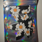 Pasties: Black Daisy Flowers Pasties